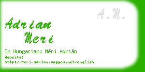 adrian meri business card